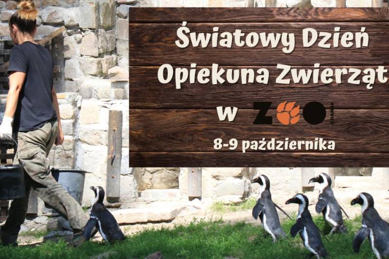 Wydarzenie: Wielkie Święto Zwierząt i ich Opiekunów w gdańskim ZOO!, Kiedy? 2022-10-08 10:45, Gdzie? Karwieńska 3